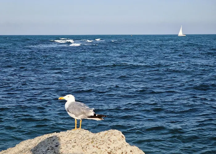Studio Robinson Beach Sea Nessebar View
